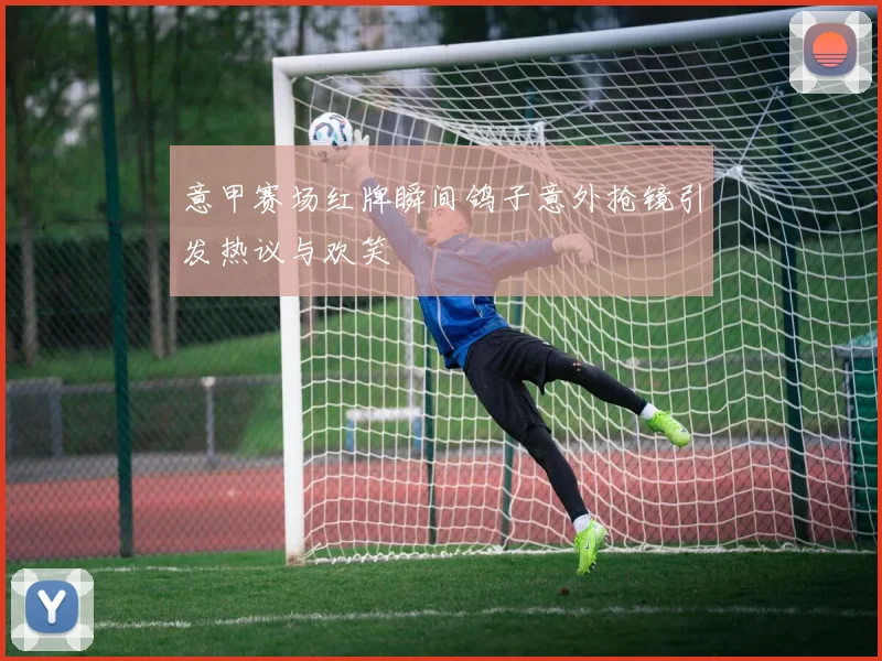 意甲赛场红牌瞬间鸽子意外抢镜引发热议与欢笑
